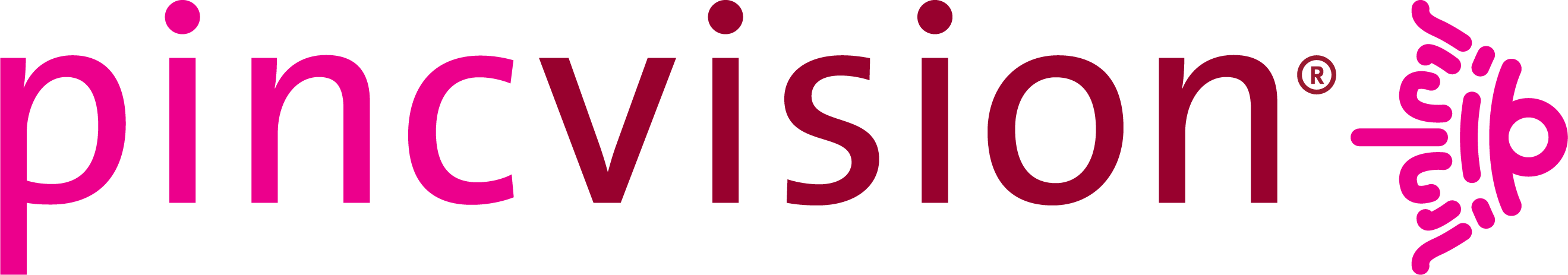 Pincvision logo with trademark